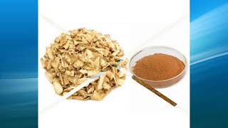 rhizoma anemarrhenae extract supplierwholesalebulkfactory [upl. by Sanderson]