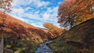 Soyland Moor Fell Race 2023 [upl. by Etterraj]