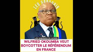 Wilfried Okoumba veut boycotter le référendum en France [upl. by Nireil]