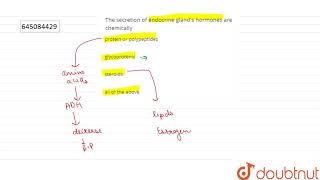 The secretion of endocrine gland\s hormones are chemically  12  NTA NEET SET 106  BIOLOGY [upl. by Tiga]