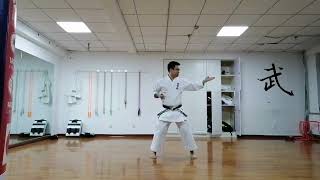 Online Karate Enbukai  Shorin Ryu Naihanchi Shodan 小林流 ナイハンチ初段） [upl. by Eanod955]