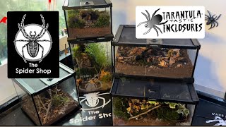 Natural tarantula enclosure setups in the new spidershop glass enclosure range [upl. by Lustig993]