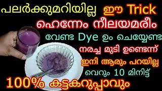 നരച്ച മുടിയോർത്ത് ഇനി ആർക്കും ടെൻഷൻ വേണ്ട 100 കറുപ്പിക്കാം 10 മിനിട്ട് തലയിൽതേക്കൂ Natural HairDye [upl. by Trin]