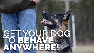 How to Get Your Dog to BEHAVE ANYWHERE  Training Environments [upl. by Madlin]