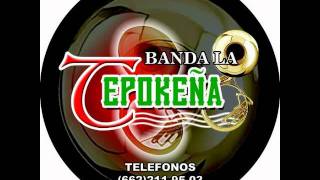 La Loba Banda La Tepokeña en vivo [upl. by Benedicto]