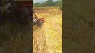 VST 5PR REAPER WITH SIDE CLUTCH DEMO IndianFarmer Krushaksathiodisha odiafarmingdunia [upl. by Jonah860]