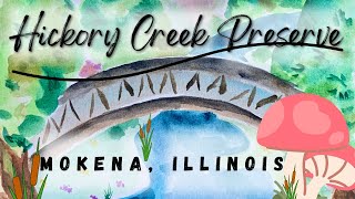 Mokena Illinois  Hickory Creek Preserve 72224 [upl. by Ellenad]