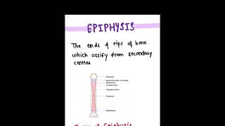 Epiphysis and it’s types ✨ [upl. by Eartha]