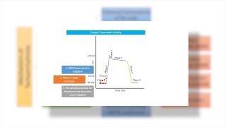 Antiarrhythmic drugs agents  Chapter 2 Tachyarrhythmias Made Easy [upl. by Chaunce]