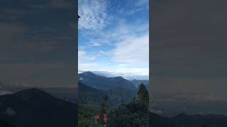 Best Homestay in Kurseong travel shorts kurseong homestay darjeeling viralvideo youtubeshorts [upl. by Shandra638]