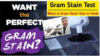 Gram Stain procedure in hindi  How do you perform a Gram stain test  ग्राम स्टैंनिंग कैसे करते है [upl. by Aamsa535]