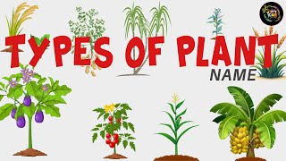 Types of plants  Different types of plants name for Kids  Types of plants in English [upl. by Tabor339]