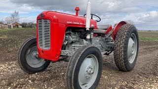 Massey Ferguson 35 x multipower [upl. by Asir]