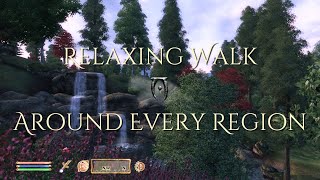 Relaxing Walk Around Every Region in Cyrodiil  Peaceful Oblivion Gameplay [upl. by Kcirded89]