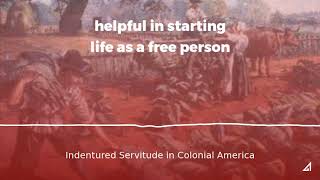 Indentured Servitude in Colonial America [upl. by Mercuri]