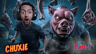 The Horror Hospital Game  CHUXIE  Part  1 horrorgame chuxie playboomgaming [upl. by Islehc]