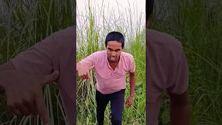 Lashe bi6a dunga ghatak sunnydeoldialogue bollywood reels trending action Viralcomedy [upl. by Lerraj]