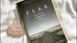 Fear by  Thich Nhat Hanh  second mantra [upl. by Milton227]