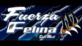 SALSA FUERZA FELINA VOL 1 [upl. by Anead]