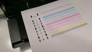 How to fix streaks Canon Pixma Printer [upl. by Cullen]