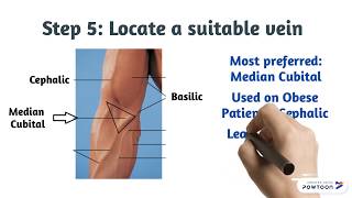 Phlebotomy How to Draw Blood [upl. by Nolla]