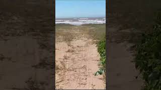 Camino hacia la tranquilidad ASMR en la playa [upl. by Arobed]