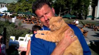 Doppler T Weathercat at the New York State Fair [upl. by Yrojram416]