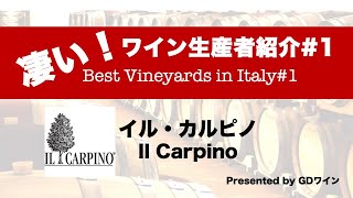 Best Vineyards in Italy quotIl Carpinoquotイル・カルピノ [upl. by Ellary]