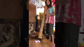 Sound Levitation experiment 🧪 part two didgeridoo science physics [upl. by Etteiram982]