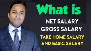 what is net salary gross salary take home salary and basic salary [upl. by Aimahs]