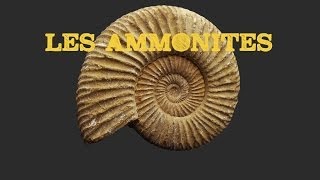 Les Ammonites [upl. by Arand]