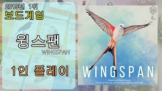 보드겜 윙스팬 Wingspan  1인 솔로 플레이 [upl. by Wiatt]