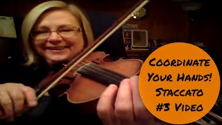 How to do Staccato 3  Coordinate Left amp Right Hands Violin Technique [upl. by Aida]