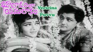 Bhulokamlo Yamalokam Telugu Movie Songs  Vericina Puvvu Song  Kantha Rao  Rajshree [upl. by Lutero]