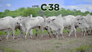 LOTE C38 [upl. by Nnaecarg289]