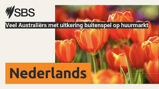 Veel Australiërs met uitkering buitenspel op huurmarkt  SBS Dutch  SBS Nederlands [upl. by Ahsilet]