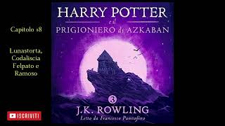 Harry Potter e il Prigioniero di Azkaban Audiolibro Italiano letto da Francesco Pannofino Capitolo18 [upl. by Cowie]