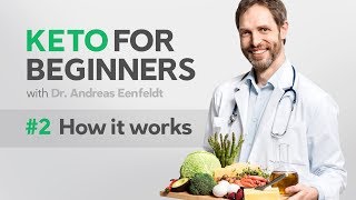 A keto diet for beginners part 2 how it works [upl. by Sug]