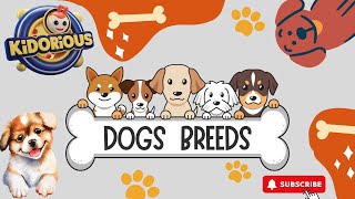 Dogs Breeds Childrens Fun Song kidorious childrenssong [upl. by Enomal849]