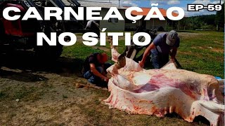 CARNEANDO BOI NO SÍTIO CARNE PRO RESTO DO ANOEP59vidasimples sitioagro [upl. by Nunci679]