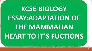 KCSE ESSAYEXPLAIN HOW A MAMMALIAN HEART IS ADAPTED TO ITS FUNCTIONS [upl. by Ylera]