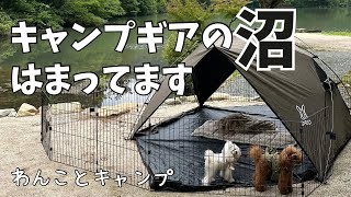 サークルとDODの「サカナシェード２トバリ」で設営待ちも快適！ [upl. by Whitten893]