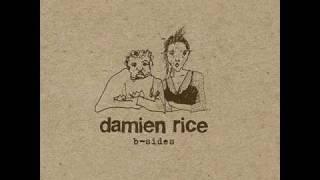 Damien Rice  The Professor amp La Fille Danse [upl. by Burty]