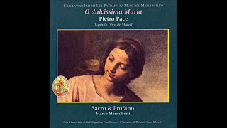 Pietro Pace  quotO dulcissima Mariaquot  3 Motets [upl. by Deirdre856]