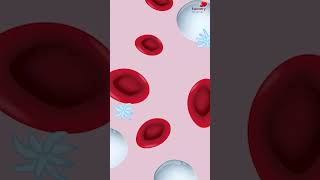 Common Causes of Low Hemoglobin  Watch full Video  httpsyoutubegxBTCGceu38 [upl. by Haleemaj874]