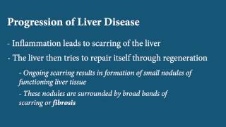 Liver Disease  Fibrosis [upl. by Armilla]