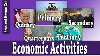 Economic Activities Primary Secondary Tertiary Quaternary Quinary AP Human Geography [upl. by Ngo446]