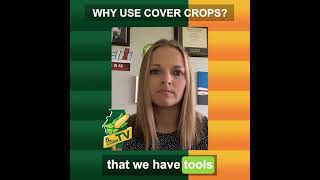 Why Use Cover Crops [upl. by Namia]