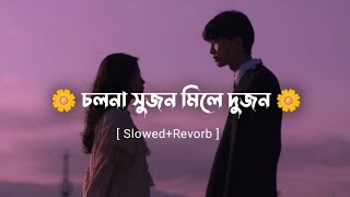 চলনা সুজন মিলে দুজন cholna sujon mile dujon bangla song [upl. by Lazar]