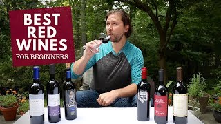 The Best Red Wines For Beginners Series 3 Merlot [upl. by Leirraj522]